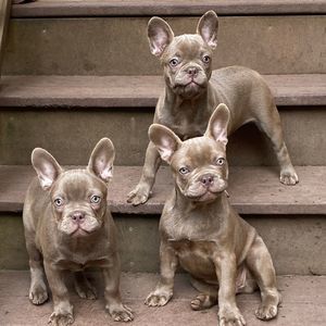 Meet your Posher, Sasha